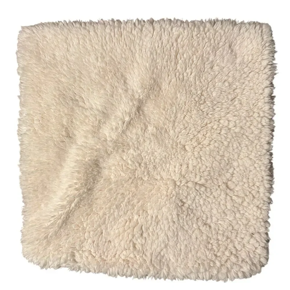 Pottery Barn Square Sham 18